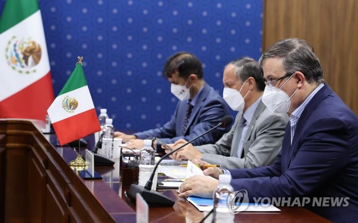 멕시코 외교장관 "韓 FTA 협상 일시중단"…주도권 선점 포석?