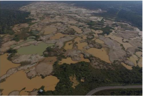 브라질 '아마존 열대우림 파괴 비난' 지젤 번천에 환경대사 제의