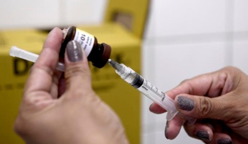 WHO, 브라질 방문 앞둔 외국인에 황열병 백신 접종 권고