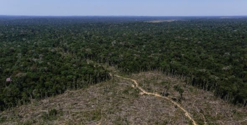 아마존 열대우림 파괴 확산…EU-남미공동시장 FTA 합의 위협