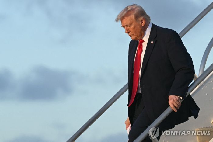 美학자 "트럼프가 비상사태 선포하며 중간선거 연기할까 우려돼"