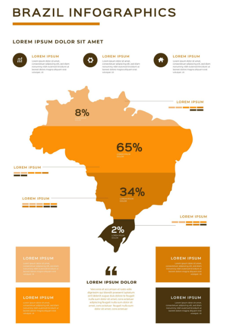 Brazil map infographic in flat design