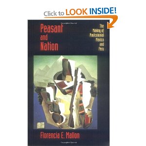 Peasant and nation : the making of postcolonial Mexico and Peru