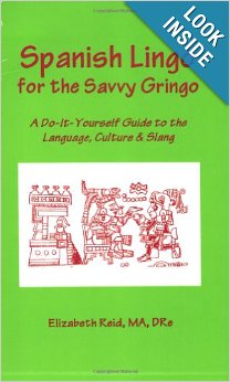 Spanish lingo for the savvy gringo : a do-it-yourself guide to the language, culture, and slang