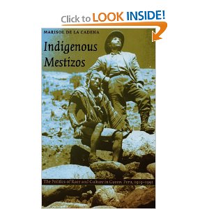 Indigenous Mestizos : the politics of race and culture in Cuzco, Peru, 1919-1991