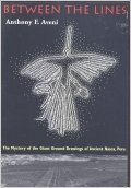 Between the lines: the mystery of the giant ground drawings of ancient Nasca, Peru