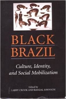 Black Brazil : culture, identity, and social mobilization