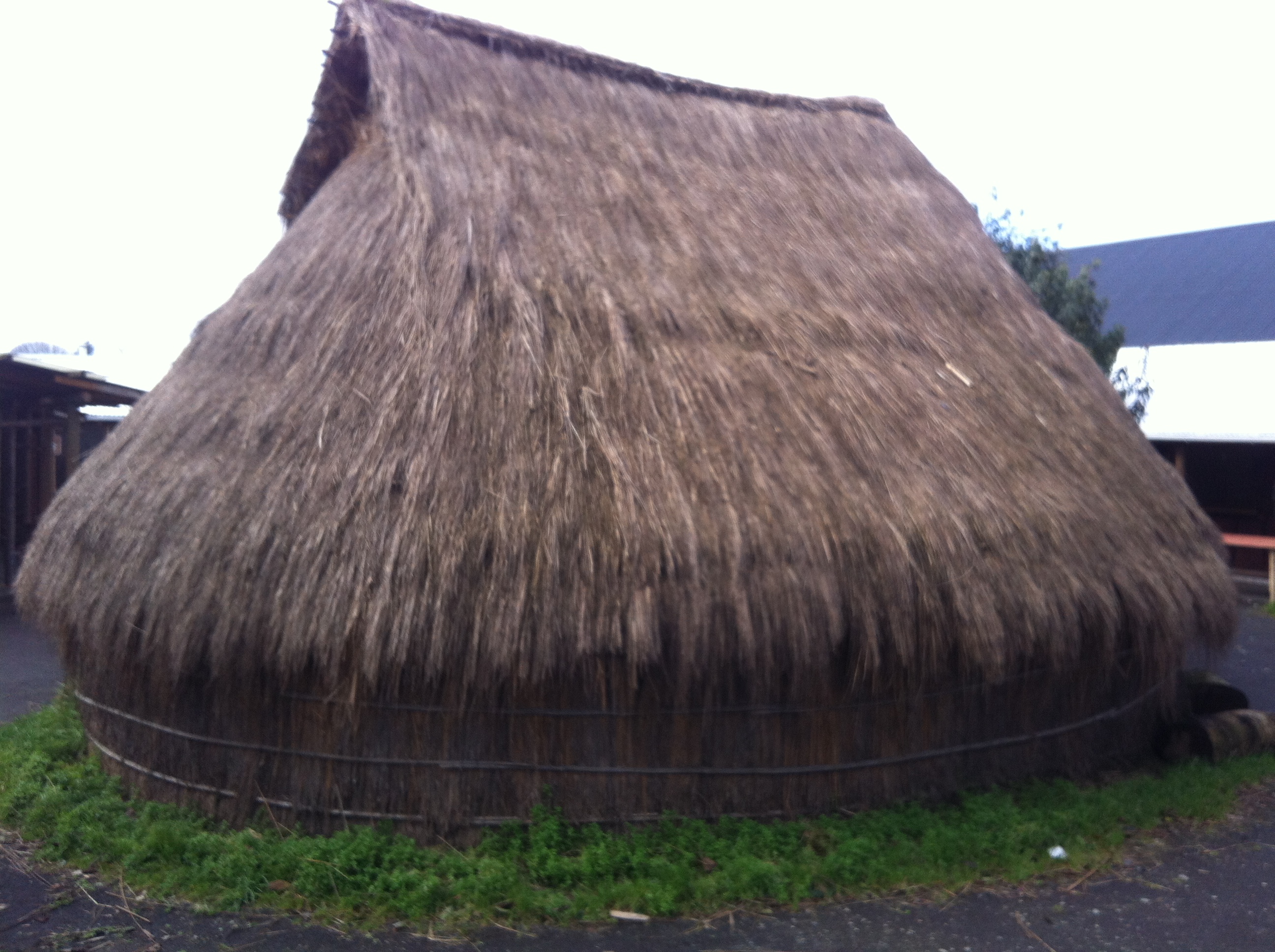 Ruka mapuche